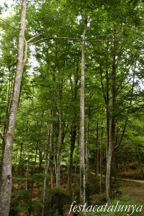 L'Esquirol - Espai natural Collsacabra