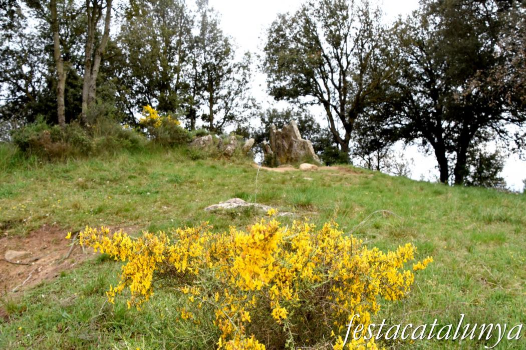 L'Esquirol - Dolmen de Puigsespedres