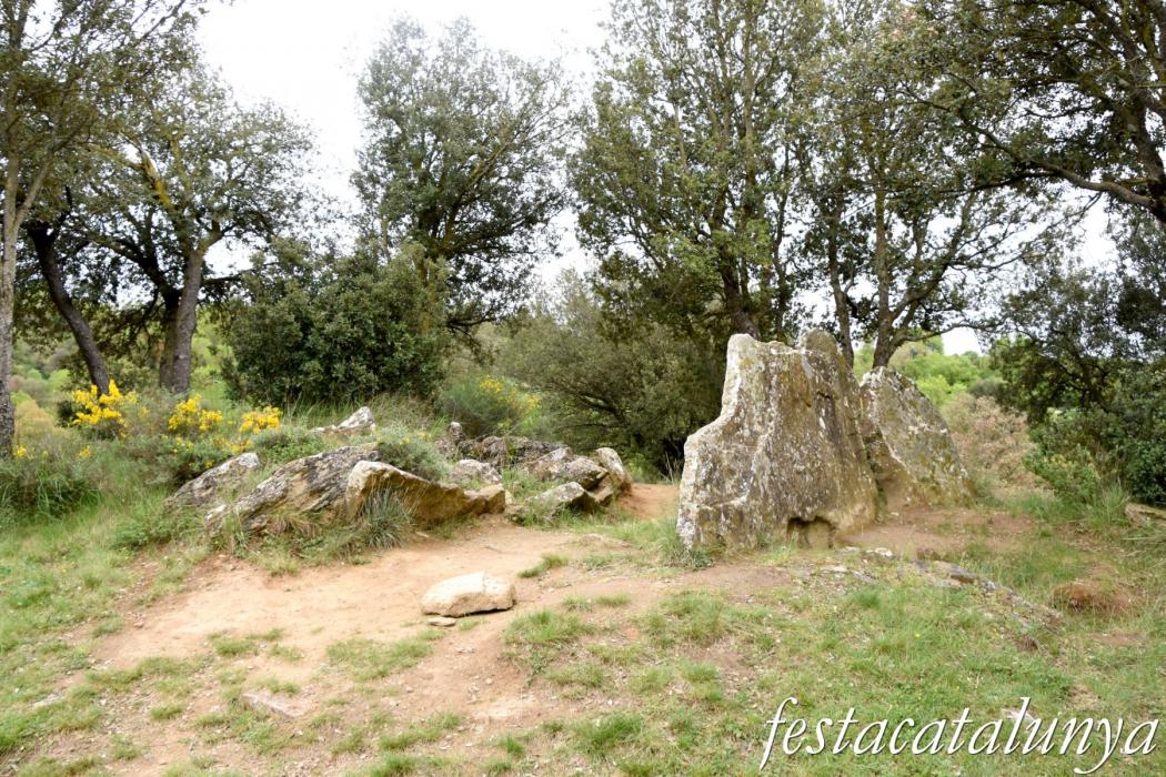 L'Esquirol - Dolmen de Puigsespedres