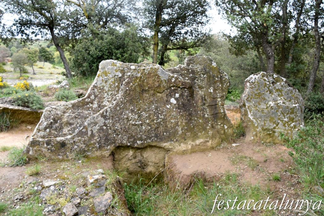 L'Esquirol - Dolmen de Puigsespedres