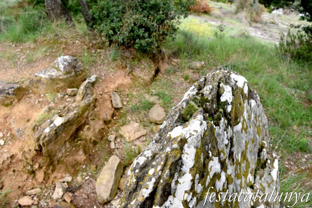 Dolmen de Puigsespedres