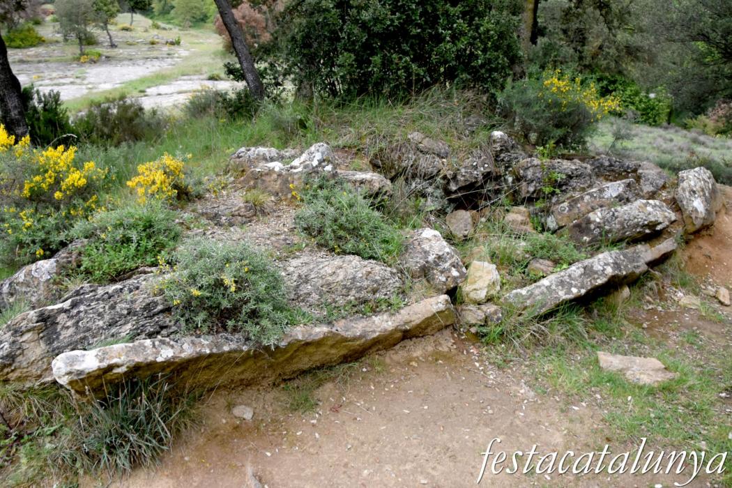 L'Esquirol - Dolmen de Puigsespedres