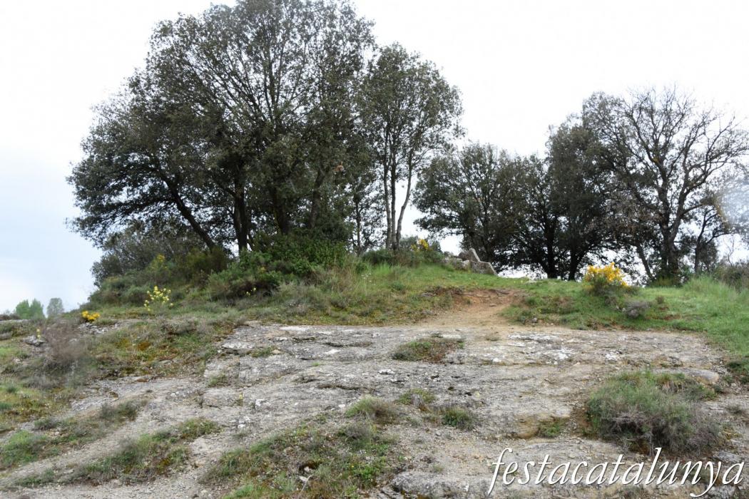 L'Esquirol - Dolmen de Puigsespedres