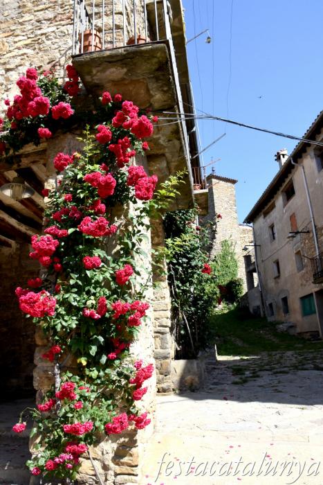 Vallfogona del Ripollès - Conjunt medieval del nucli antic