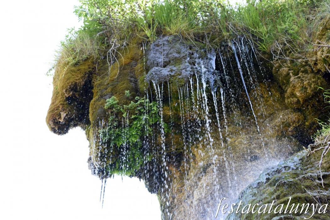 Ruta de senderisme del Mont Rudolar, de la Tosca a la Masica a Vallfogona de Ripollès