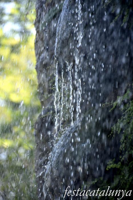 Vallfogona del Ripollès - Font de la Tosca