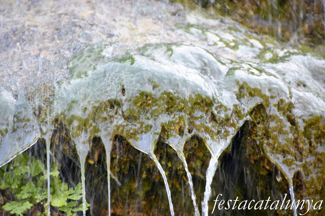 Vallfogona del Ripollès - Font de la Tosca