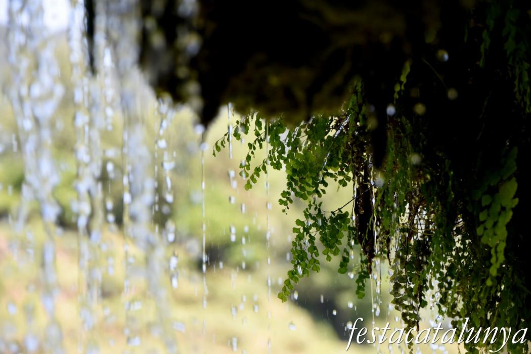 Vallfogona del Ripollès - Font de la Tosca
