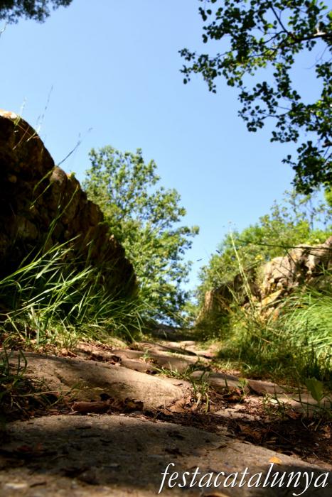 Vallfogona del Ripollès - Pont medieval