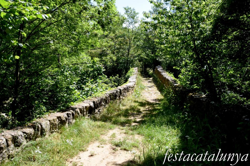 Vallfogona del Ripollès - Pont medieval