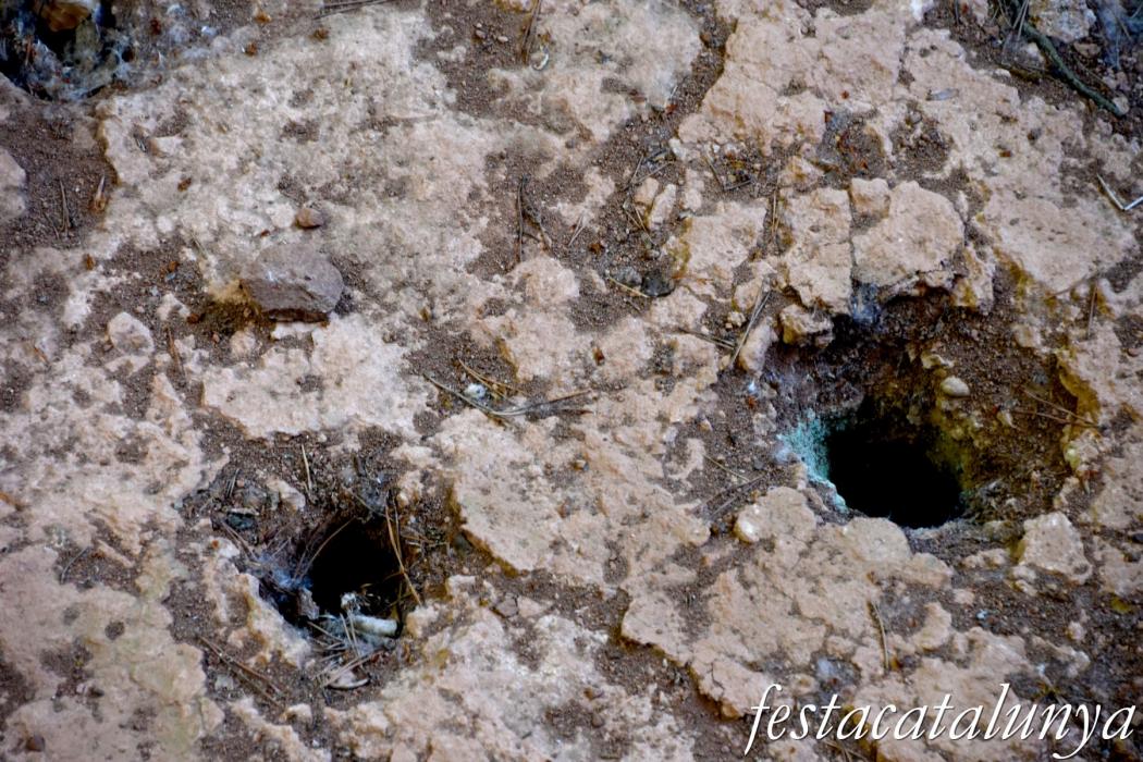 Vallfogona del Ripollès - Teuleria del Pinetar de l'Obra