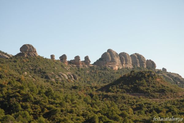 Bruc, El - Muntanya de Montserrat - Pallers