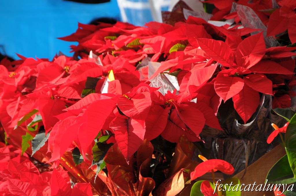 Fira de Nadal de Santa Eulàlia de Ronçana