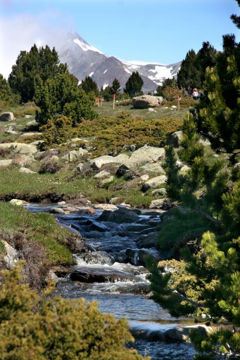 Les Bulloses de Llívia