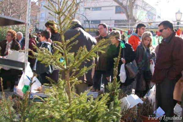 Fira de Reis d'Igualada