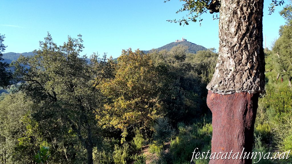 Arbúcies - Castell de Montsoriu (Foto: Anna Roca)