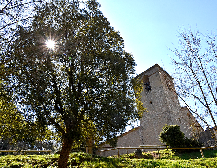 Església de Sant Andreu de Castellcir