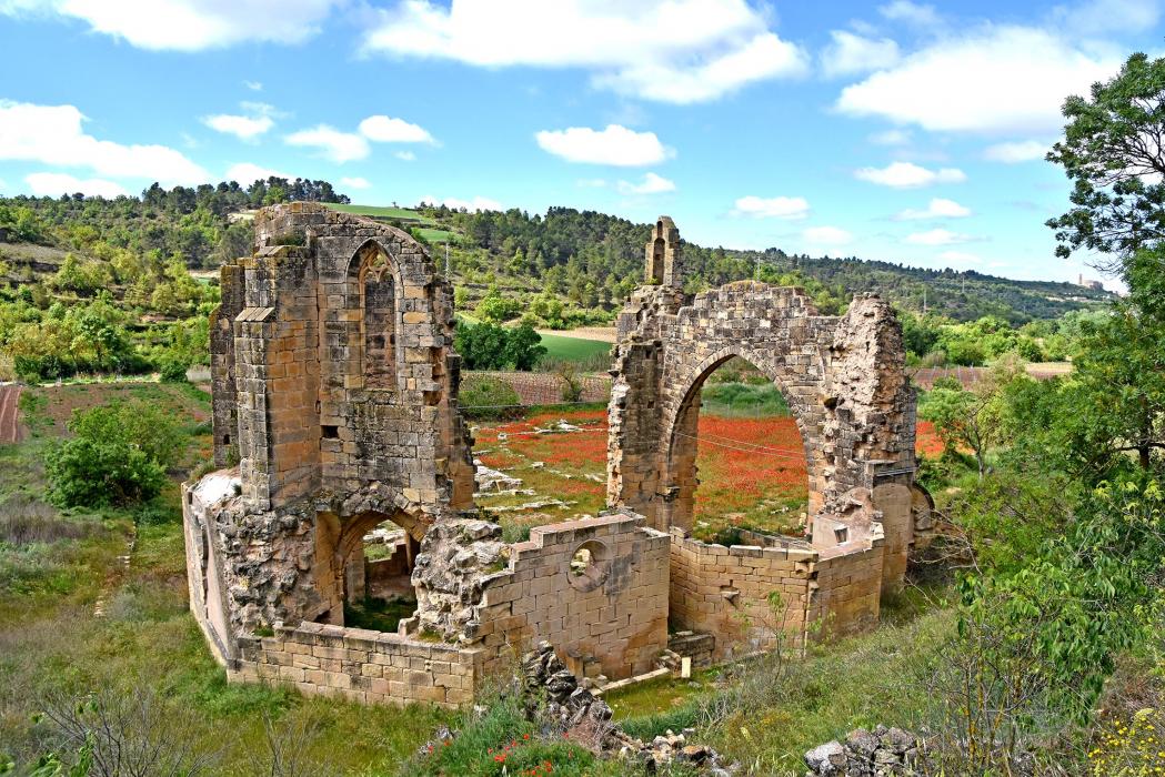 Monestir de Santa Maria de Vallsanta