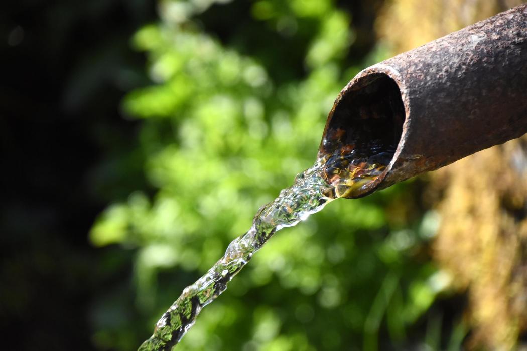 Balnearis de Sant Hilari Sacalm ***