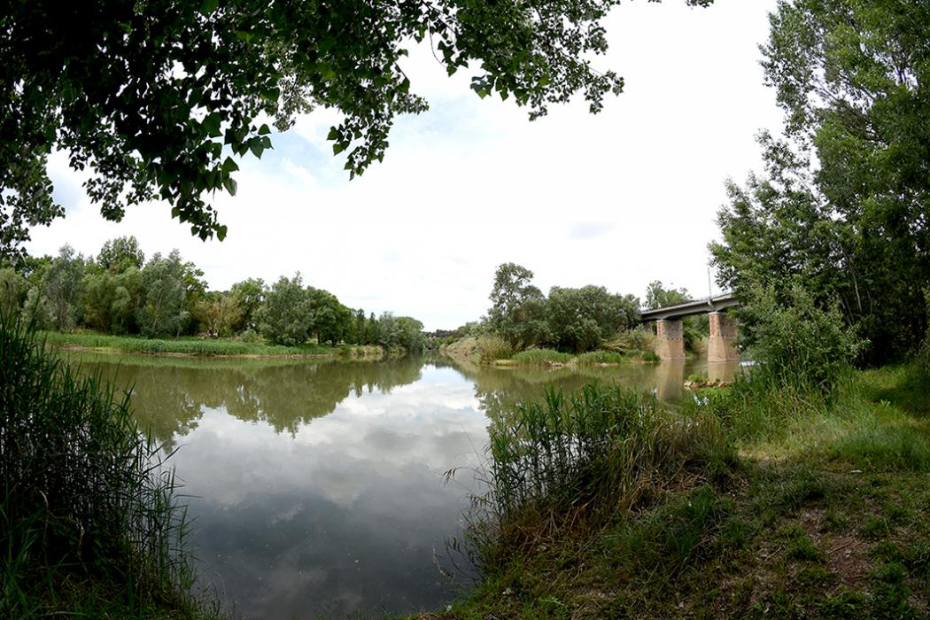 Aiguabarreig de dos rius al terme de Castellgalí: Cardener i Llobregat ***