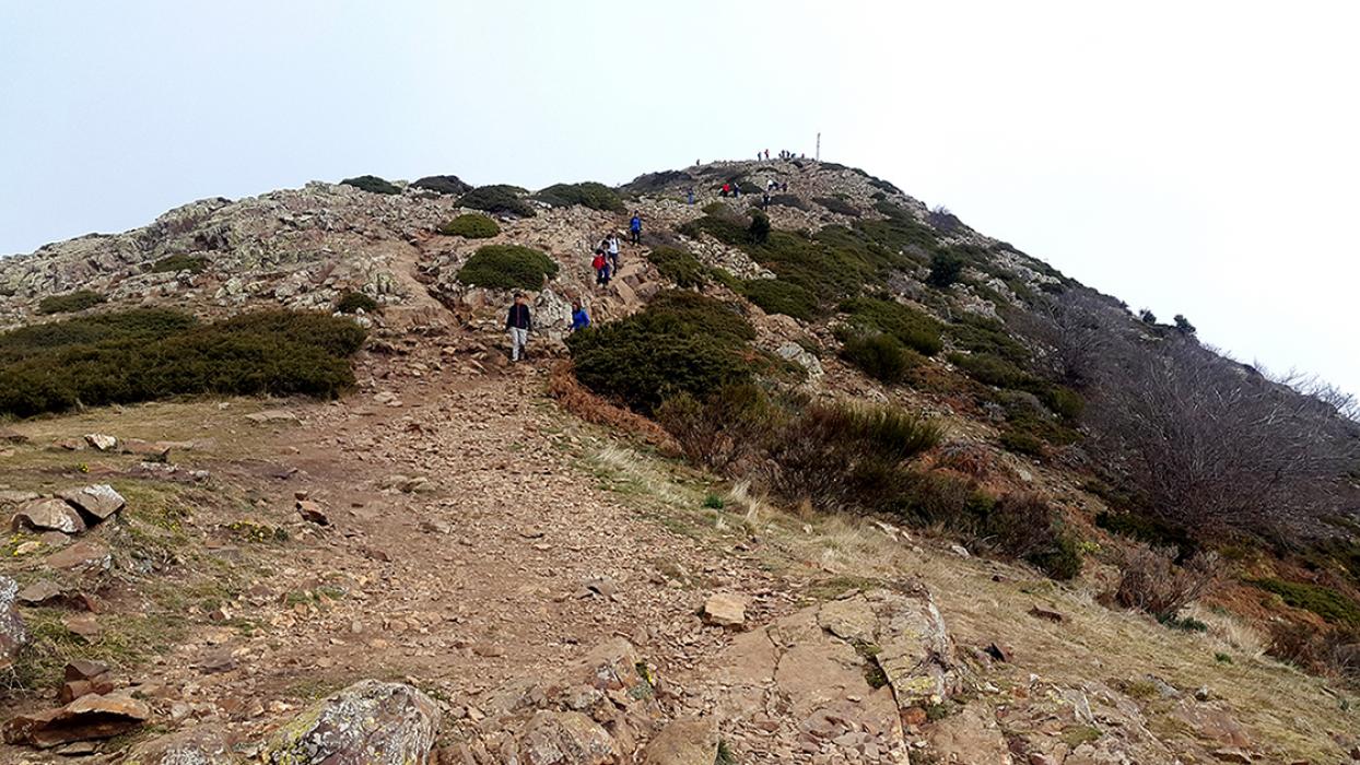 Turó de l'Home a Fogars de Montclús