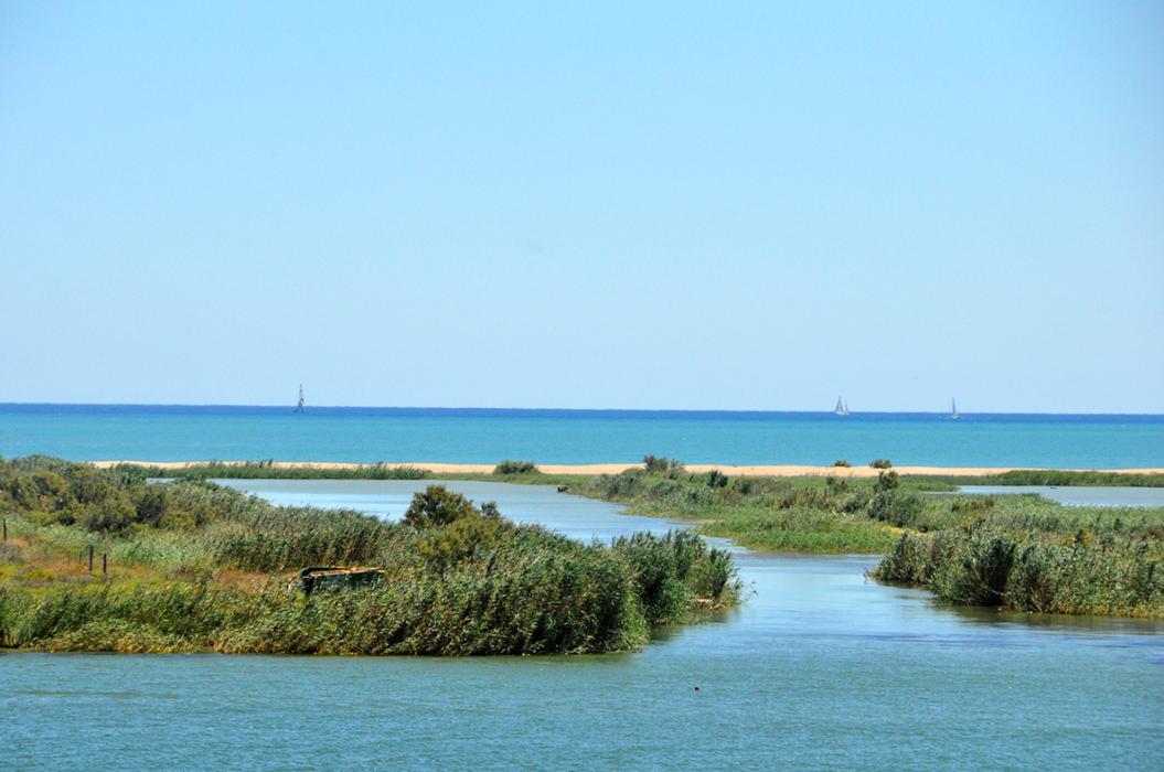 Desembocadura del riu Ebre  i Garxal a Deltebre ***