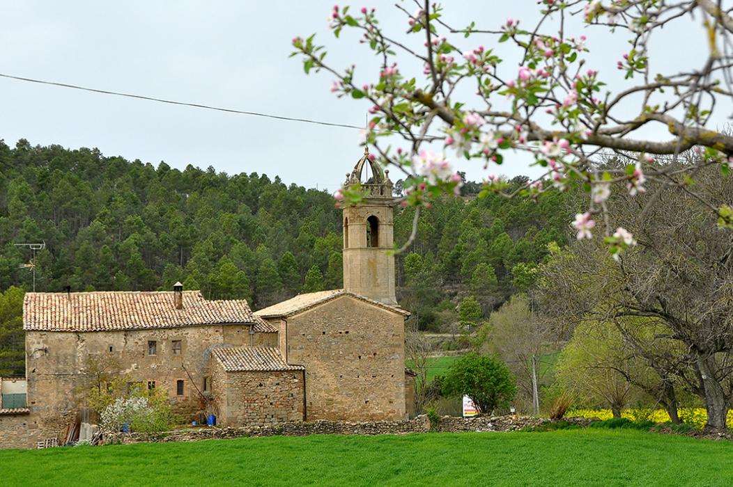 Santa Maria de Sorba