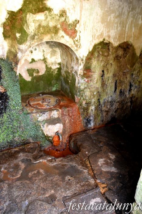 Sant Hilari Sacalm - Font de Santa Escolàstica