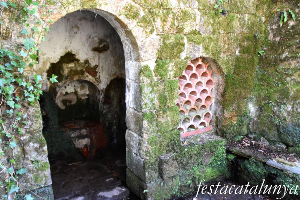 Sant Hilari Sacalm - Font de Santa Escolàstica