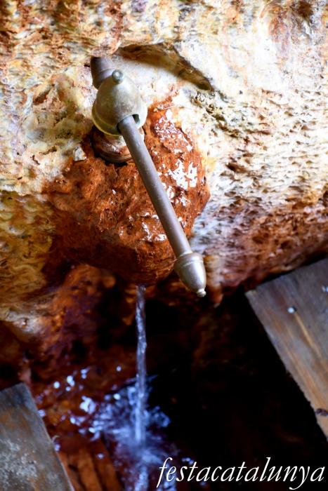 Sant Hilari Sacalm - Font de Santa Teresa