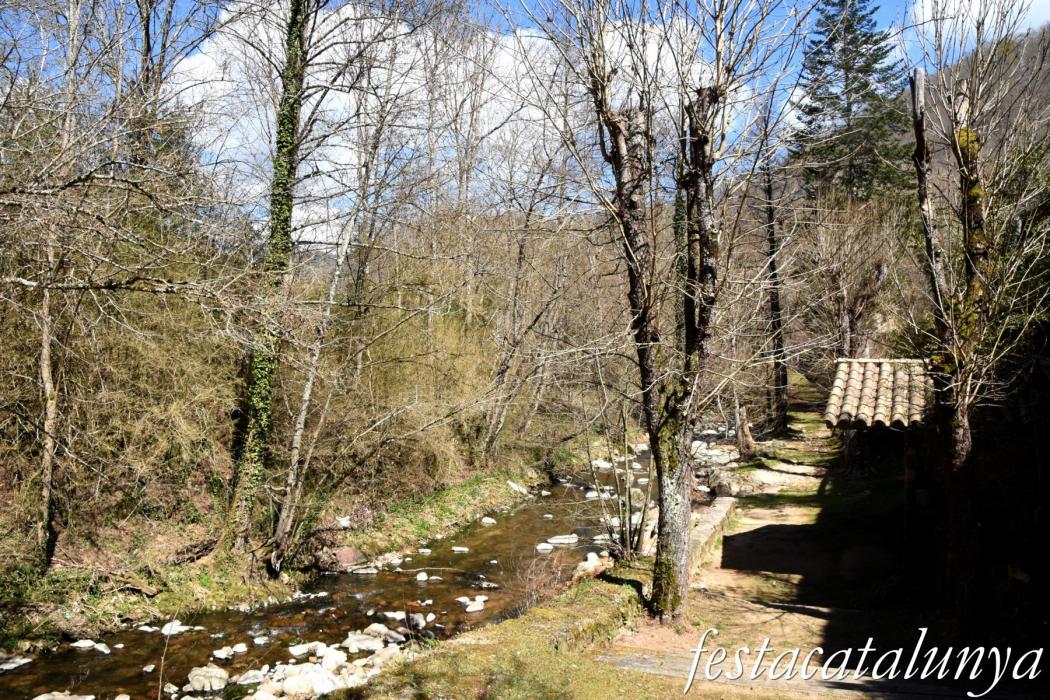 Sant Hilari Sacalm - Font de Santa Teresa