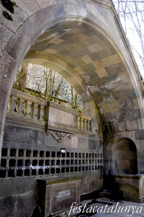 Sant Hilari Sacalm - Font Picant