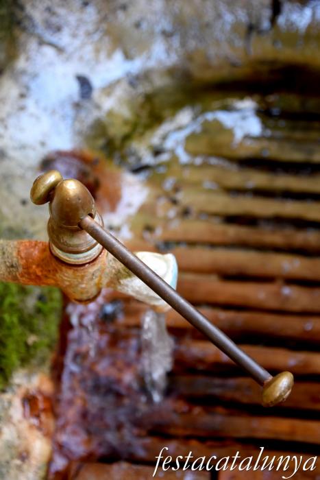 Sant Hilari Sacalm - Font Picant