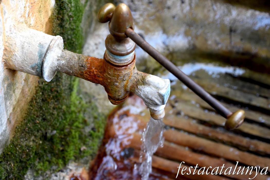 Sant Hilari Sacalm - Font Picant