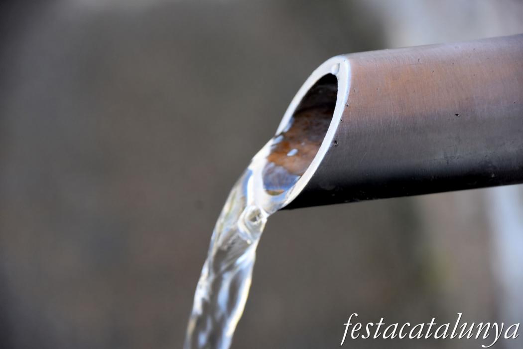 Sant Hilari Sacalm - Font del Cirerer