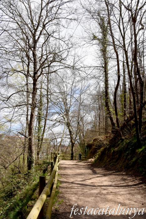 Sant Hilari Sacalm - Font del Pic i llera del riu Vallicrosa