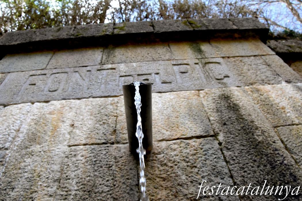 Sant Hilari Sacalm - Font del Pic i llera del riu Vallicrosa