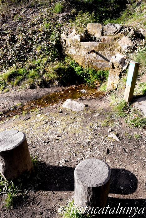 Sant Hilari Sacalm - Font dels Abeuradors