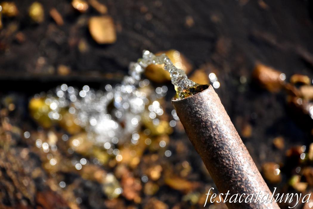 Sant Hilari Sacalm - Font dels Abeuradors