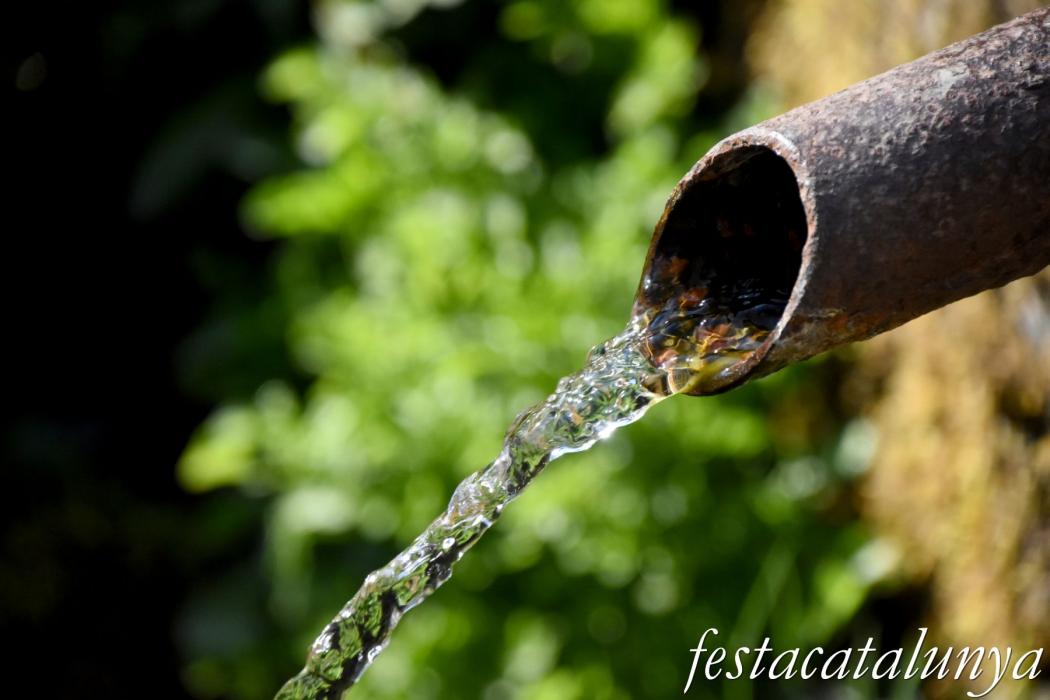 Sant Hilari Sacalm - Font dels Abeuradors