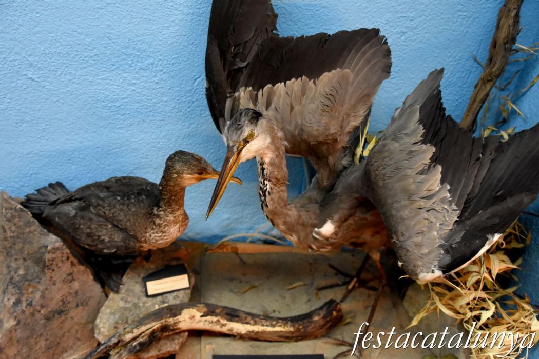 Museu de les Guilleries