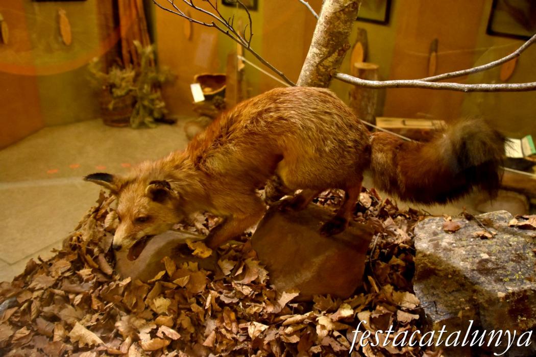 Museu de les Guilleries