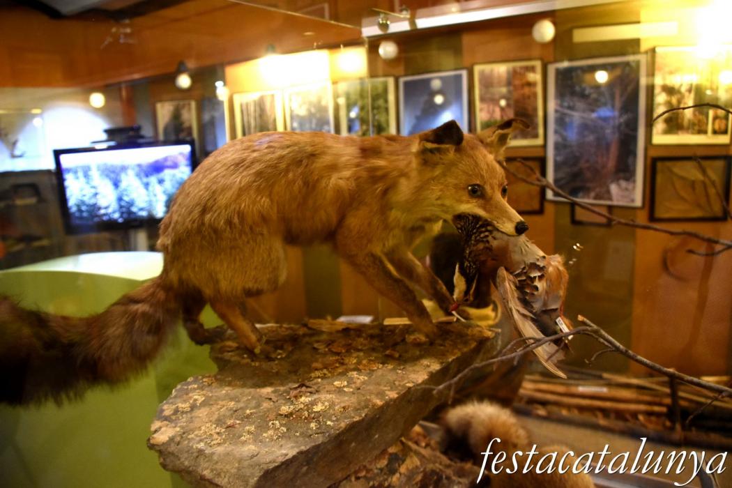 Museu de les Guilleries