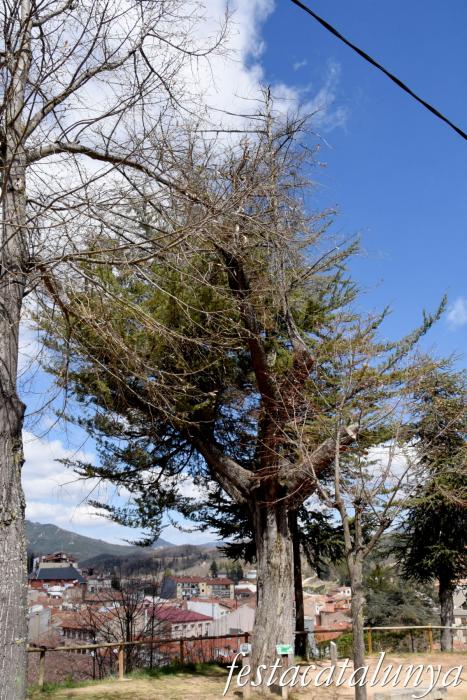 Sant Hilari Sacalm - Mirador del Pla del Campaner