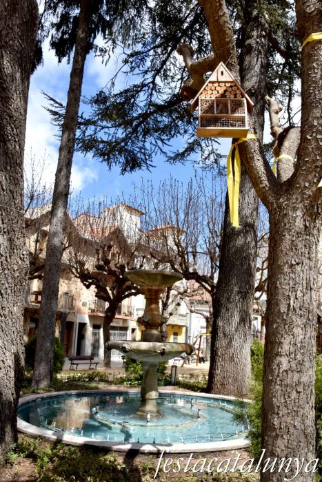 Sant Hilari Sacalm - Plaça del Dr. Gravalosa i entorn