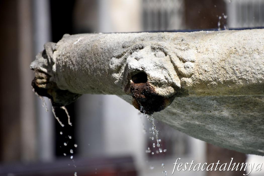 Sant Hilari Sacalm - Plaça del Dr. Gravalosa i entorn