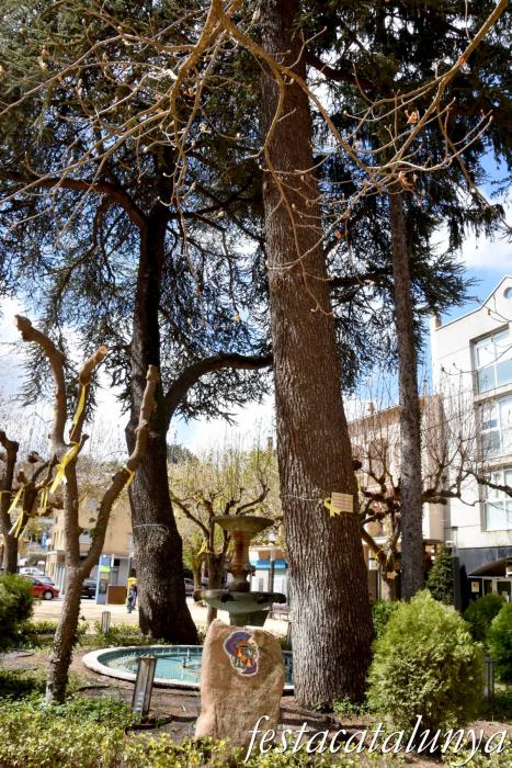 Sant Hilari Sacalm - Plaça del Dr. Gravalosa i entorn