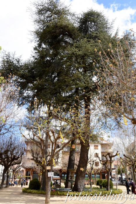 Sant Hilari Sacalm - Plaça del Dr. Gravalosa i entorn