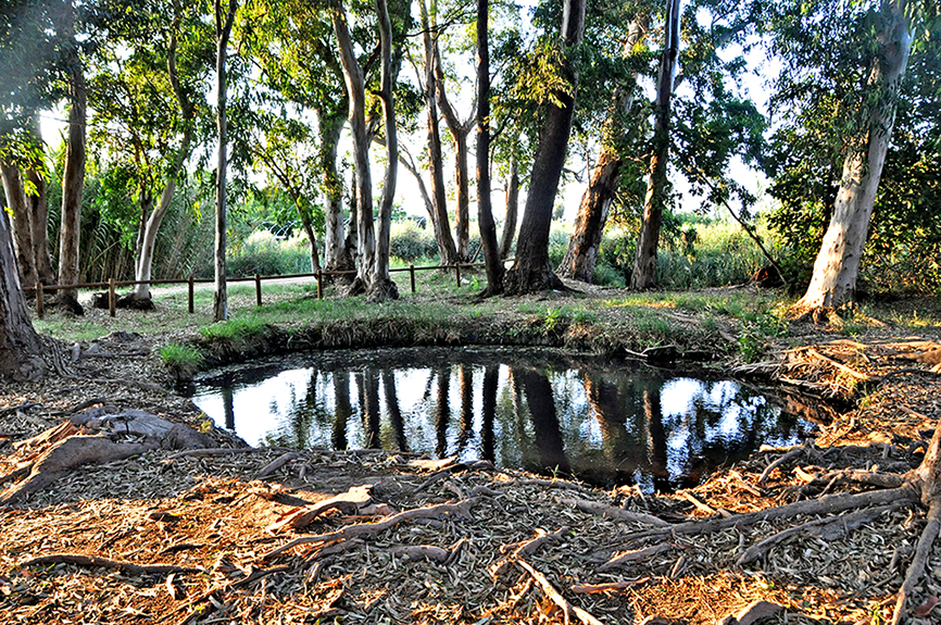 Els Ullals de Baltasar a Amposta ***