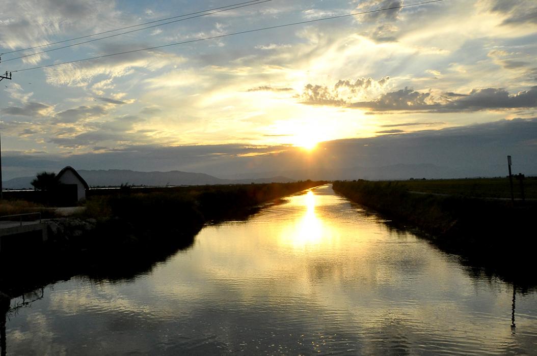 Llacuna de la Tancada a Amposta ***
